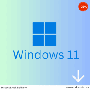 windows 11