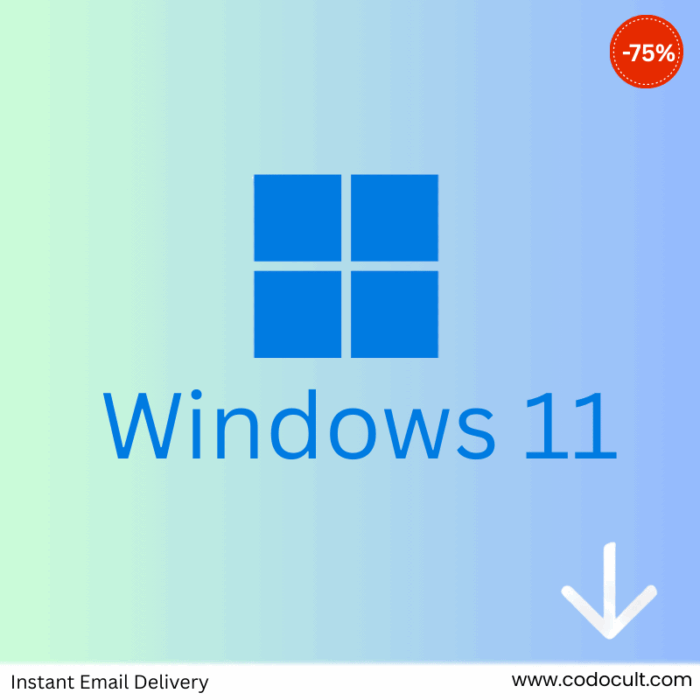 windows 11